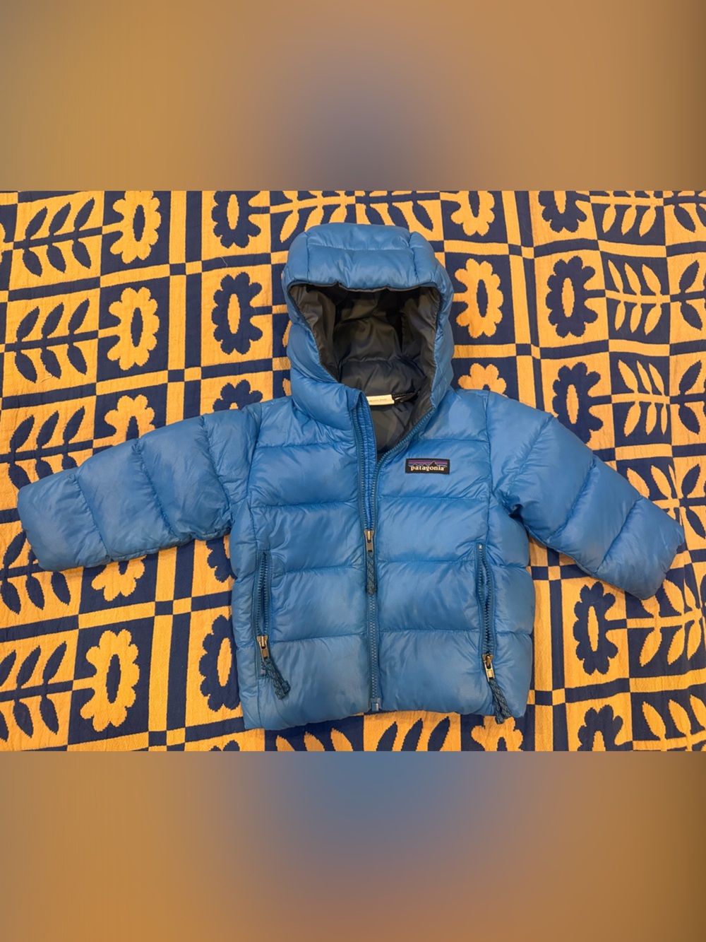 Patagonia Kids Bright Blue Hooded Puffer Jacket